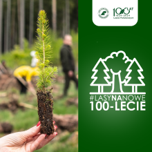 Akcja Lasy na nowe 100-lecie