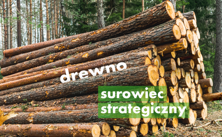Grafika&#x2e;&#x20;Na&#x20;zdjęcie&#x20;stosu&#x20;drewna&#x20;nałożono&#x20;napis&#x3a;&#x20;&#x22;drewno&#x20;surowiec&#x20;strategiczny&#x22;&#x2e;