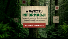 PBS dla Lasów Państwowych: 21% Polaków sądzi, że drewno można pozyskać nie wycinając drzew.