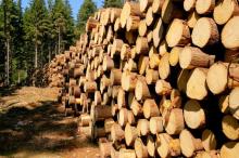 Informacja dla kupujących drewno w detalu