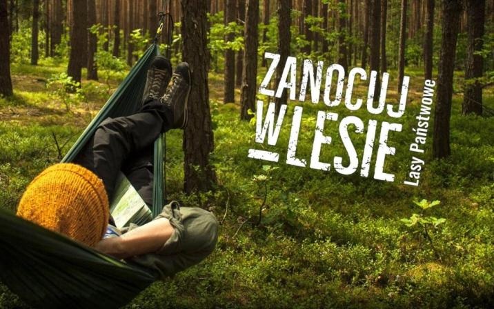 Zanocuj w lesie